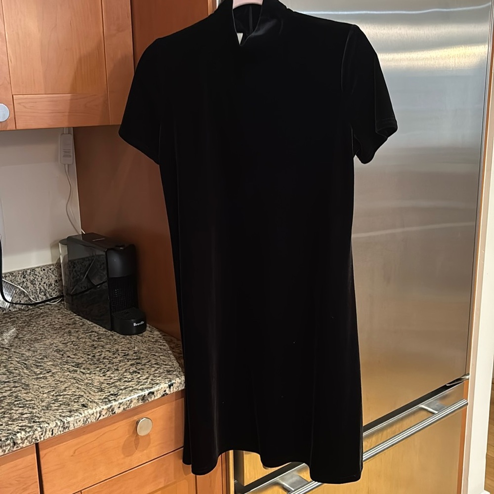 Black velvet vintage turtleneck short sleeve dress